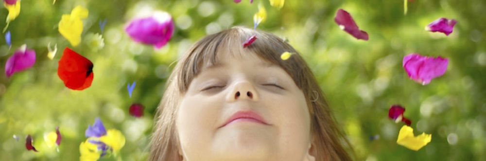 .Nutrio Funcional, Adulto e Infantil, Materno Infantil e Esportiva